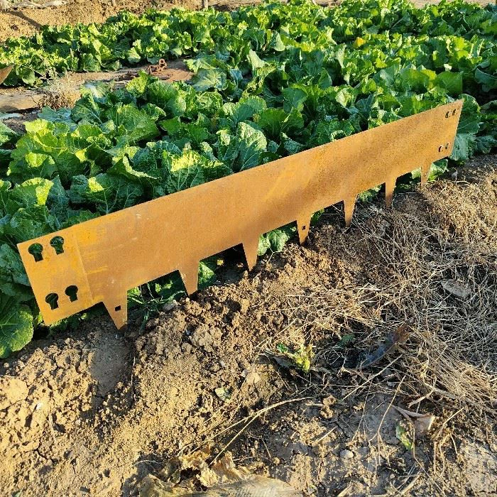 Lawn Edgings For Garden Decorative best