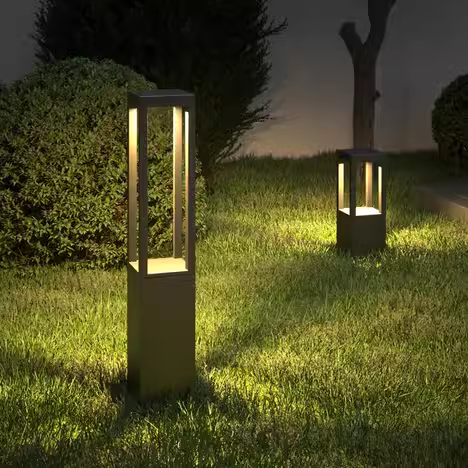 light 6 light 6