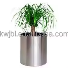 product-225-225