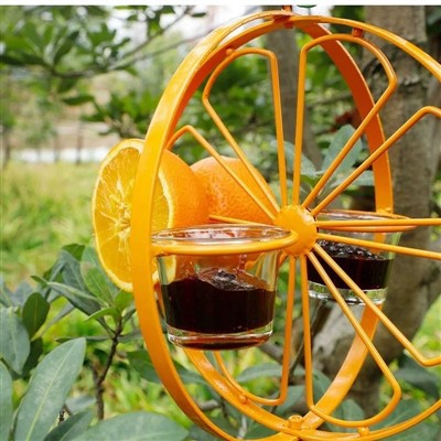 Dış Mekan Kuş Tepsisi